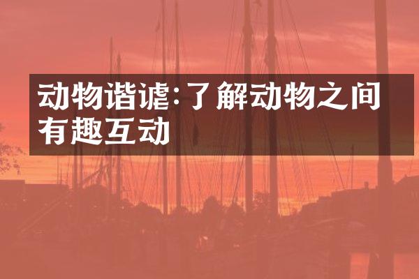 动物谐谑:了解动物之间的有趣互动