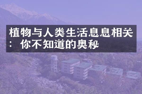 植物与人类生活息息相关：你不知道的奥秘