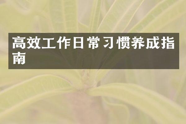 高效工作日常习惯养成指南