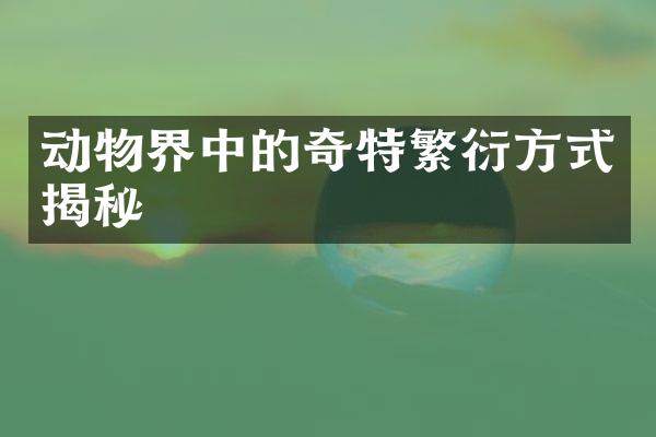 动物界中的奇特繁衍方式揭秘