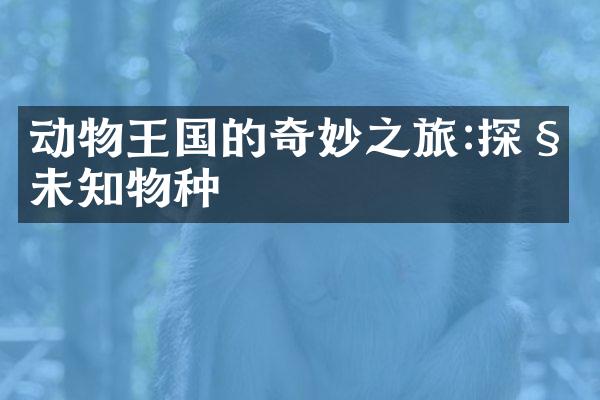 动物王国的奇妙之旅:探秘未知物种
