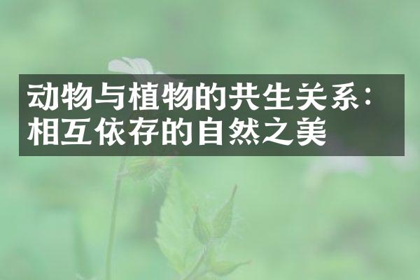 动物与植物的共生关系：相互依存的自然之美