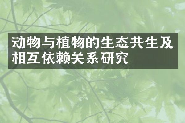 动物与植物的生态共生及相互依赖关系研究