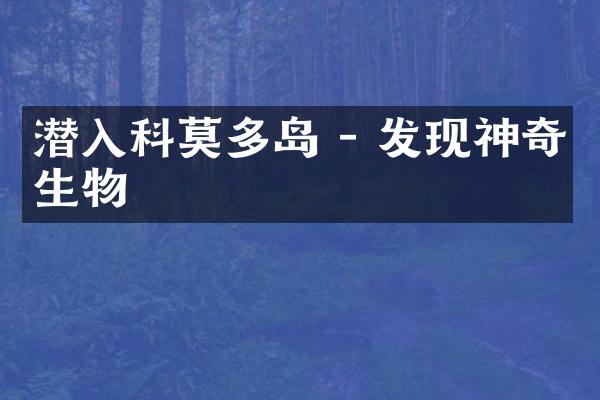 潜入科莫多岛 - 发现神奇生物