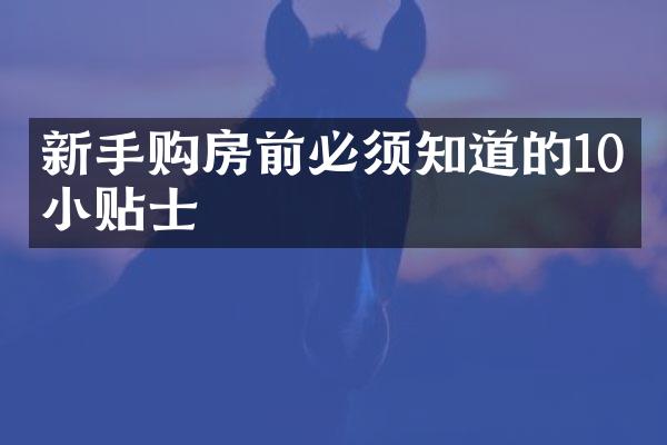 新手购房前必须知道的10个小贴士