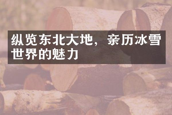 纵览东北大地，亲历冰雪世界的魅力