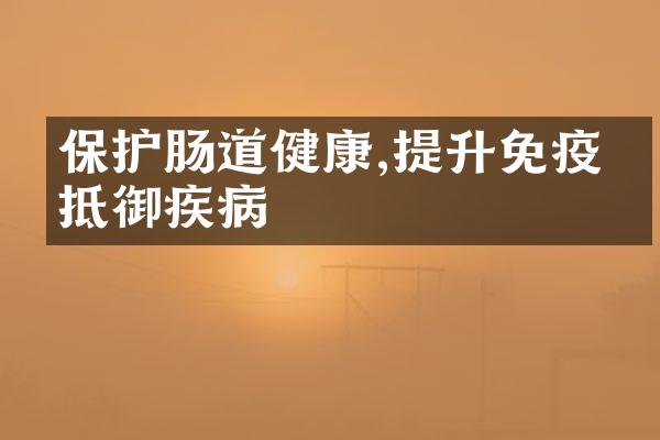 保护肠道健康,提升免疫力抵御疾病