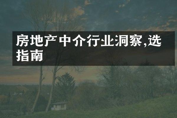 房地产中介行业洞察,选择指南
