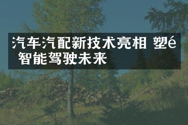汽车汽配新技术亮相 塑造智能驾驶未来