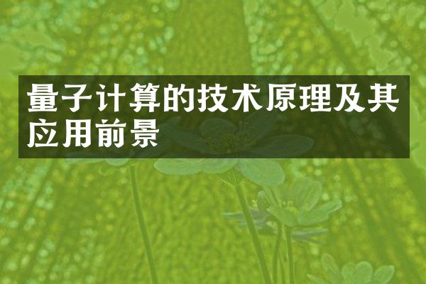 量子计算的技术原理及其应用前景