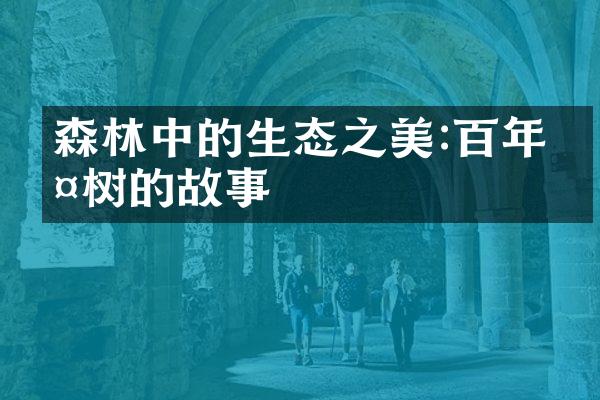 森林中的生态之美:百年古树的故事