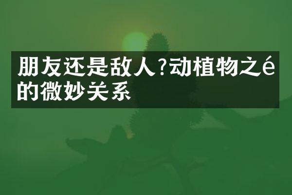 朋友还是敌人?动植物之间的微妙关系