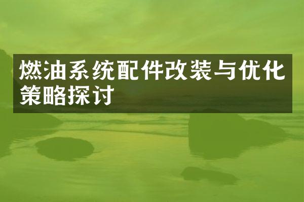 燃油系统配件改装与优化策略探讨