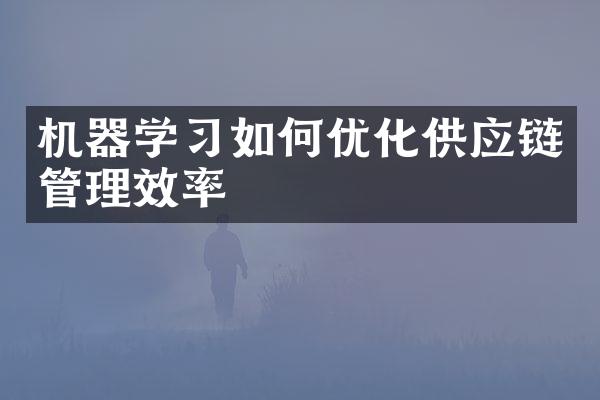 机器学习如何优化供应链管理效率