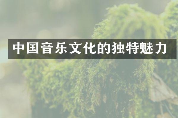 中国音乐文化的独特魅力