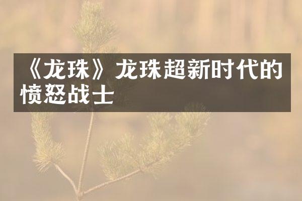 《龙珠》龙珠超新时代的愤怒战士