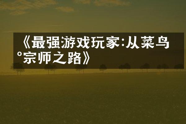 《最强游戏玩家:从菜鸟到宗师之路》