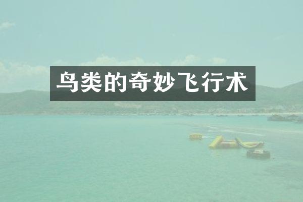 鸟类的奇妙飞行术