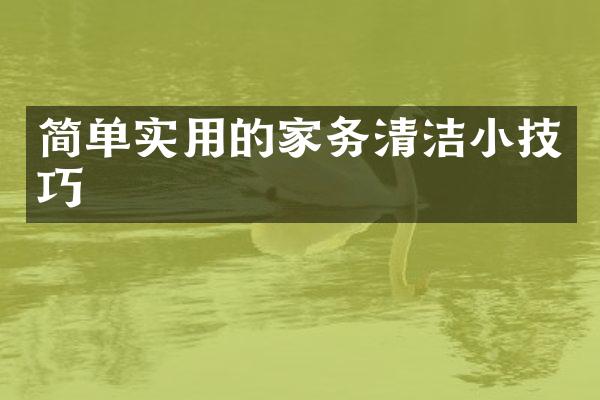 简单实用的家务清洁小技巧