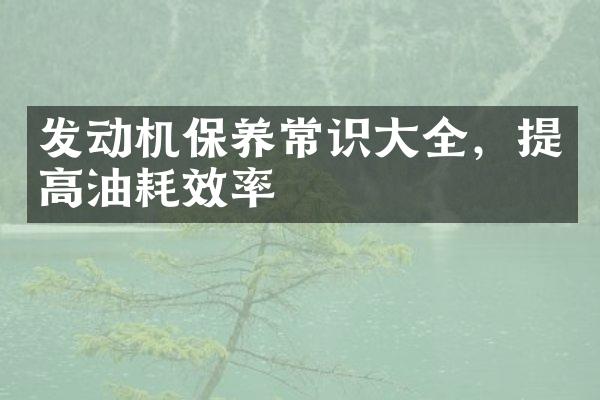 发动机保养常识大全，提高油耗效率