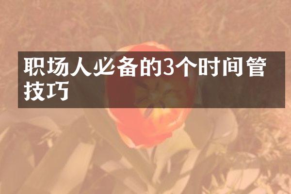 职场人必备的3个时间管理技巧