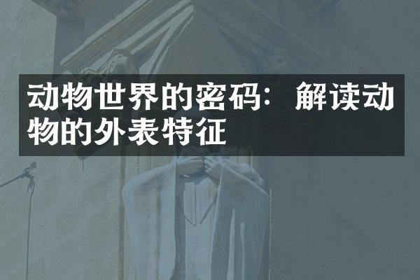 动物世界的密码：解读动物的外表特征