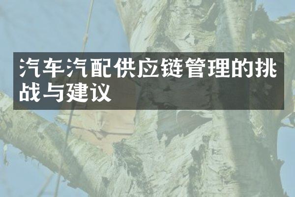 汽车汽配供应链管理的挑战与建议