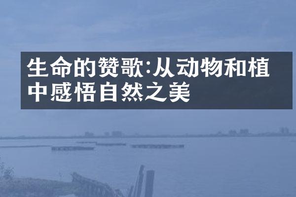 生命的赞歌:从动物和植物中感悟自然之美