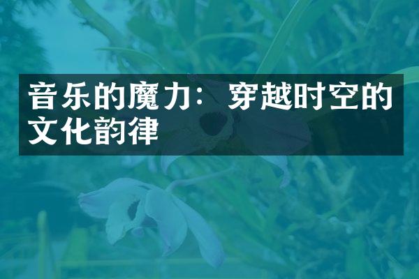 音乐的魔力：穿越时空的文化韵律