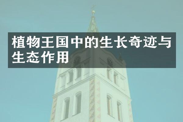 植物王国中的生长奇迹与生态作用