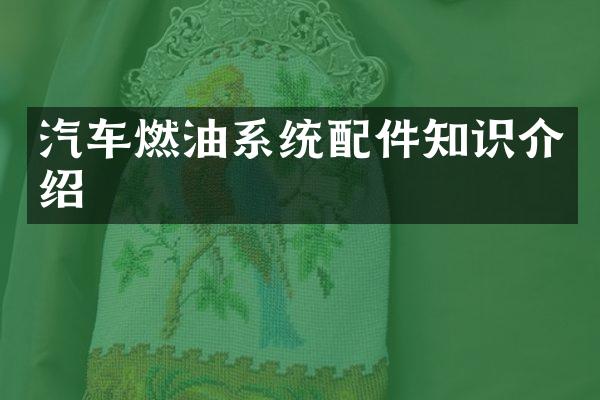 汽车燃油系统配件知识介绍