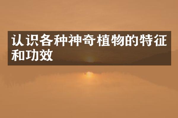 认识各种神奇植物的特征和功效