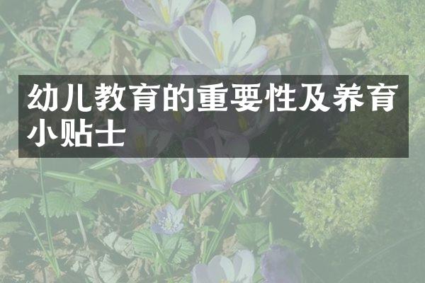 幼儿教育的重要性及养育小贴士