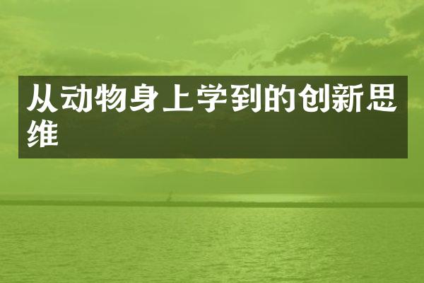 从动物身上学到的创新思维