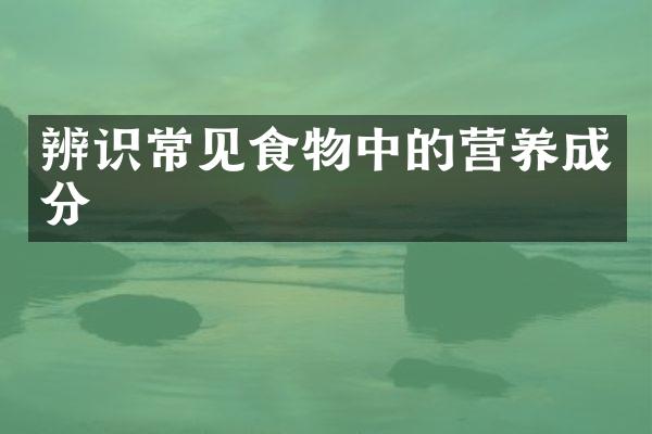 辨识常见食物中的营养成分