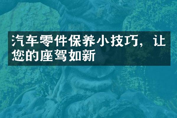 汽车零件保养小技巧，让您的座驾如新