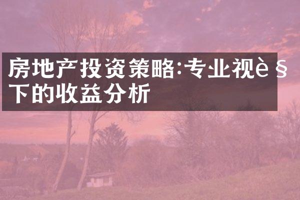 房地产投资策略:专业视角下的收益分析