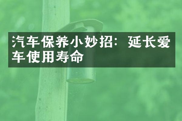 汽车保养小妙招：延长爱车使用寿命