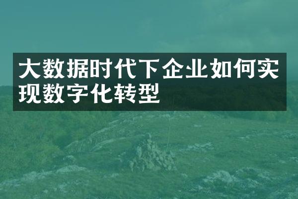大数据时代下企业如何实现数字化转型