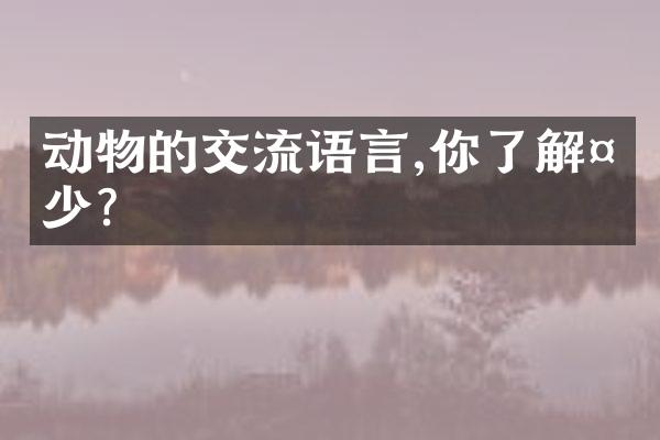 动物的交流语言,你了解多少?