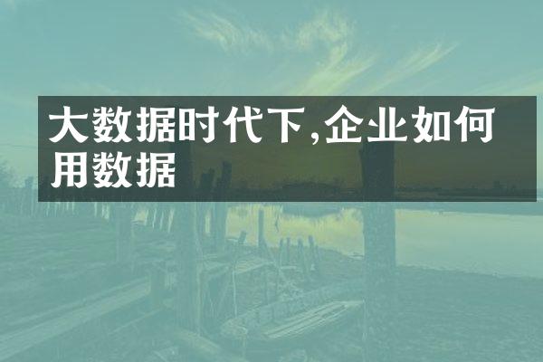 大数据时代下,企业如何利用数据