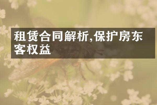 租赁合同解析,保护房东房客权益