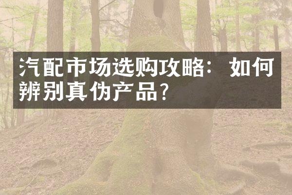 汽配市场选购攻略：如何辨别真伪产品？