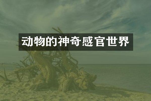 动物的神奇感官世界