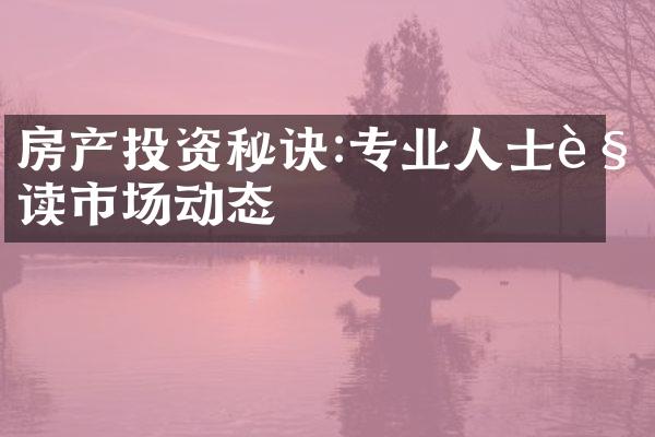 房产投资秘诀:专业人士解读市场动态