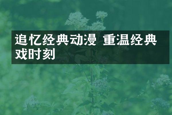 追忆经典动漫 重温经典游戏时刻