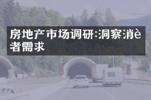 房地产市场调研:洞察消费者需求