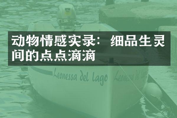 动物情感实录：细品生灵间的点点滴滴