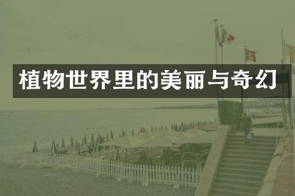 植物世界里的美丽与奇幻