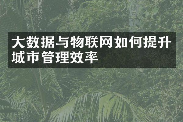 大数据与物联网如何提升城市管理效率